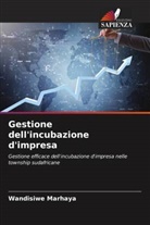 Wandisiwe Marhaya - Gestione dell'incubazione d'impresa