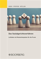 Robert Horn, Robert (Dr.) Horn, Henning Müller, Julia Pfeffer - Das Sozialgerichtsverfahren