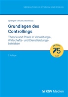 Chris Brockhaus, Christian P Brockhaus, Michael Thomas P Sprenger-Menzel - Grundlagen des Controllings