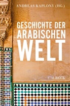 Thomas Bauer, Rainer Brunner u a, Andreas Kaplony - Geschichte der arabischen Welt