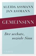 Aleida Assmann, Jan Assmann - Gemeinsinn