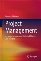 Bernd-J Madauss, Bernd-J. Madauss - Project Management