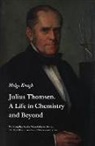 Helge Kragh - Julius Thomsen: A Life in Chemistry and Beyond