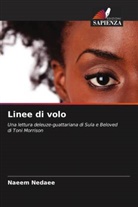 Naeem Nedaee - Linee di volo