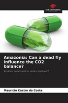 Maurício Castro da Costa - Amazonia: Can a dead fly influence the CO2 balance?