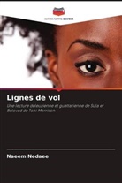 Naeem Nedaee - Lignes de vol