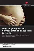 Marlene Ferreira, Zélia Teixeira - Fear of giving birth: Normal birth or caesarean section?