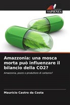 Maurício Castro da Costa - Amazzonia: una mosca morta può influenzare il bilancio della CO2?