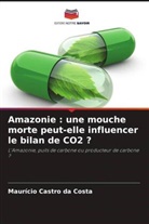 Maurício Castro da Costa - Amazonie : une mouche morte peut-elle influencer le bilan de CO2 ?