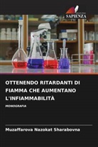 Muzaffarova Nazokat Sharabovna - OTTENENDO RITARDANTI DI FIAMMA CHE AUMENTANO L'INFIAMMABILITÀ