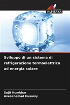 Avesahemad Husainy, Sujit Kumbhar - Sviluppo di un sistema di refrigerazione termoelettrico ad energia solare