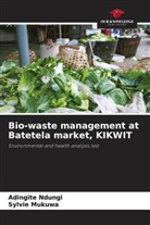 Sylvie Mukuwa, Adingite Ndungi - Bio-waste management at Batetela market, KIKWIT