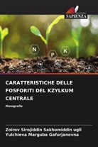 Yulchieva Marguba Gafurjanovna, Zoirov Sirojiddin Sakhomiddin Ugli - CARATTERISTICHE DELLE FOSFORITI DEL KZYLKUM CENTRALE