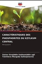 Yulchieva Marguba Gafurjanovna, Zoirov Sirojiddin Sakhomiddin ugli - CARACTÉRISTIQUES DES PHOSPHORITES DU KZYLKUM CENTRAL