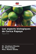 Dr. Rhaul Godge, Rhaul Godge, Mr. Shubham Mhaske, Shubham Mhaske, Miss. Mohini Shelke - Les aspects biologiques de Carica Papaya