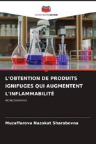 Muzaffarova Nazokat Sharabovna - L'OBTENTION DE PRODUITS IGNIFUGES QUI AUGMENTENT L'INFLAMMABILITÉ