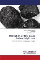 Sanchita Chakravarty, Priya Ranjan Mishra, Rina Sahu - Utilization of low grade Indian origin coal