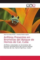 Abel Hernández-Muñoz, Anisleidy Medero-Aguilar - Anfibios Presentes en Bromelias del Bosque de Hornos de Cal, Cuba