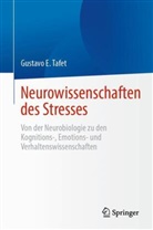 Gustavo E Tafet, Gustavo E. Tafet - Neurowissenschaften des Stresses