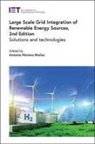 Antonio (Professor Moreno-Munoz, Antonio Moreno-Muñoz - Large Scale Grid Integration of Renewable Energy Sources