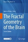 Antonio Di Ieva - The Fractal Geometry of the Brain