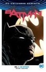 David Finch, Mikel Janin, Tom King, Ivan Reis - Batman Vol. 1: I Am Gotham (2024 Edition)