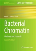 Remus T Dame, Remus T. Dame, Remus T Dame - Bacterial Chromatin