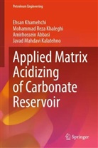A Abbasi, Amirhossein Abbasi, Mohammad Reza Khaleghi, Ehsan Khamehchi, Javad Mahdavi Kalatehno - Applied Matrix Acidizing of Carbonate Reservoir