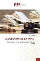Youssef Daafi - L'ÉVOLUTION DE LA MINE :