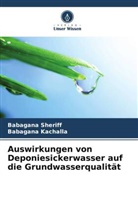 Babagana Kachalla, Babagana Sheriff - Auswirkungen von Deponiesickerwasser auf die Grundwasserqualität