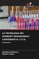 Shakhlo Gaffarova, Khayit Turaev - LA TECNOLOGIA DEI SORBENTI ORGANOIDRICI CONTENENTI N, S E SI