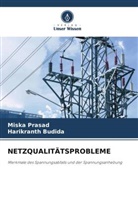 Harikranth Budida, Miska Prasad - NETZQUALITÄTSPROBLEME