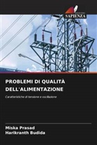 Harikranth Budida, Miska Prasad - PROBLEMI DI QUALITÀ DELL'ALIMENTAZIONE