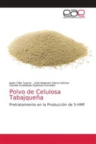 Claudia Guadalupe Espinosa González, Uriel Alejandro Sierra Gómez, Javier Félix Suarez - Polvo de Celulosa Tabajqueña