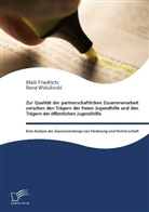 Maik Friedrich, René Widulinski - Zur Qualität der partnerschaftlichen Zusammenarbeit zwischen den Trägern der freien Jugendhilfe und den Trägern der öffentlichen Jugendhilfe eine Analyse des Zusammenhangs von Förderung und Partnerschaft.