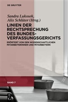 Sandra Lukosek, Schlüter, Alix Schlüter - Linien der Rechtsprechung des Bundesverfassungsgerichts - erörtert von den wissenschaftlichen Mitarbeiterinnen und Mitarbeitern - Band 7: Linien der Rechtsprechung des Bundesverfassungsgerichts