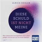 Ulrich Kohler, Matthias Lühn - Diese Schuld ist nicht meine (Hörbuch) (Audio book)