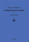 Christian Wyss - Skripte zur Mathematik - Fortgeschrittene Analysis