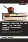 Oberdan Andrade - Between the REAL and the IDEAL: The teaching image in the current context