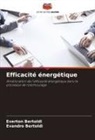 Evandro Bertoldi, Everton Bertoldi - Efficacité énergétique
