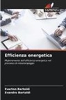 Evandro Bertoldi, Everton Bertoldi - Efficienza energetica