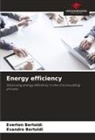Evandro Bertoldi, Everton Bertoldi - Energy efficiency
