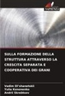 Yulia Kononenko, Vadim Ol¿shanetskii, Vadim Ol'shanetskii, Andrii Skrebtsov - SULLA FORMAZIONE DELLA STRUTTURA ATTRAVERSO LA CRESCITA SEPARATA E COOPERATIVA DEI GRANI