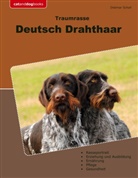 Dietmar Scholl - Traumrasse Deutsch Drahthaar