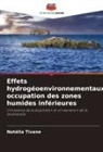 Natália Tivane - Effets hydrogéoenvironnementaux, occupation des zones humides inférieures