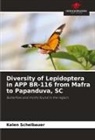 Kelen Schelbauer - Diversity of Lepidoptera in APP BR-116 from Mafra to Papanduva, SC
