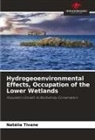 Natália Tivane - Hydrogeoenvironmental Effects, Occupation of the Lower Wetlands