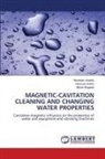 Hordieiev Anatoly, Hanzyuk Andriy, Baran Bogdan - MAGNETIC-CAVITATION CLEANING AND CHANGING WATER PROPERTIES