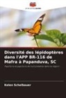 Kelen Schelbauer - Diversité des lépidoptères dans l'APP BR-116 de Mafra à Papanduva, SC
