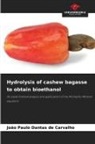 João Paulo Dantas de Carvalho - Hydrolysis of cashew bagasse to obtain bioethanol